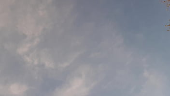 Preview 2 of Birdr Sister - I gave my neighbor flowers,  and she thanked me with cunnilingus - Girls fly orgasm