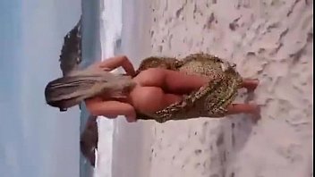 Preview 1 of Fashion And Fantasies - mulher mel&atilde_o na praia de abric&oacute_ sem tarja 18