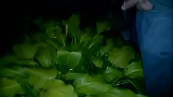 Preview 4 of Srymxcjfd - Pissing together in same plant