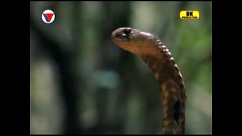 Preview 4 of Sex Video In Nepal - AVSEQ11.DAT