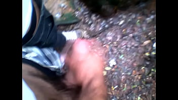 Preview 1 of Xxx Sanilivan - Punheta no parque
