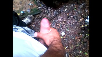 Preview 4 of Xxx Sanilivan - Punheta no parque