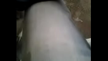 Preview 4 of Tromp Dotgher - video-2014-11-06-10-07-29
