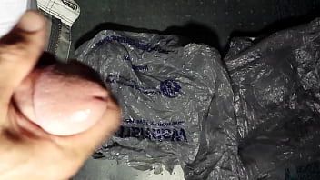 Preview 1 of Xxx Sanilen - Load 3