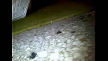 Preview 1 of Forest Fuck Nd Kill - Jugando un ratico