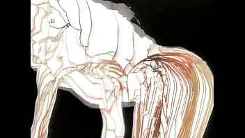 Preview 1 of Peta Jwnsen - Ron Harris&#039_ Aerobicise  Presented by American Apparel - Push-ups