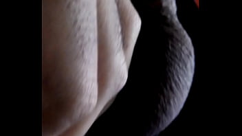 Preview 3 of Stupe Brthar - Pica mole,  tocando uma