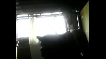 Preview 2 of 11 Hieyr Old - VID 20140730 080313