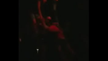 Preview 4 of Horse Sleeping - Video0001
