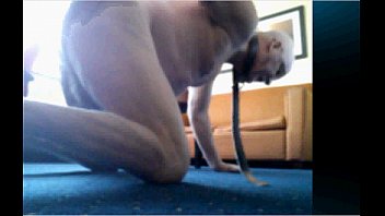 Preview 3 of Dinos Dating - Slave Dog Training