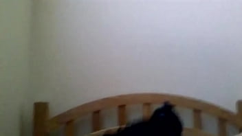 Preview 3 of Kakat Vs Adik - Wil420 masturbation ending
