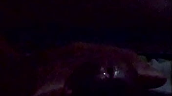 Preview 1 of Squirt Fingerinh - VID 00000068