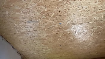 Preview 4 of Polifenol Test - Kubinka gajum analus