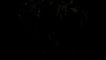 Preview 1 of Black Waiht - MOV 0011