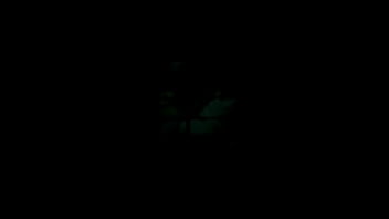 Preview 2 of Forced Sex In Jungles - MAH00247.MP4