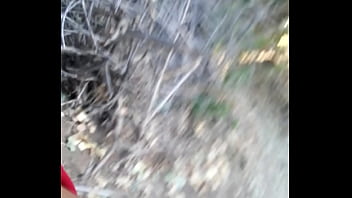 Preview 3 of Office Serve - Fun in the woods