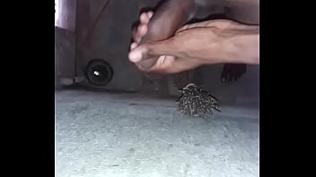 Preview 2 of Myamnar Sex Videos - indian teen cock