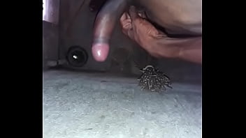 Preview 3 of Myamnar Sex Videos - indian teen cock