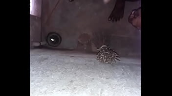 Preview 1 of Myamnar Sex Videos - indian teen cock