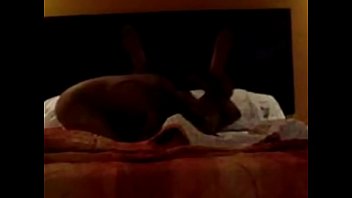 Preview 3 of Lisa Ann Doggy Style - Leonardo Le&oacute_n PRDPRIPAN