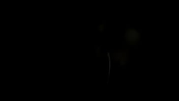 Preview 4 of Nudedence - video20120918213526