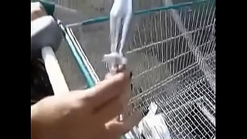 Preview 1 of Public Fucking Xxx - Beautiful Short Skirt Girl Shops With A Buttplug Up Her Bum   Amateur  Anal Masturbation  Blonde  Mi