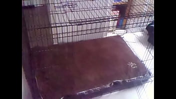 Preview 2 of Otro - presentation cage.AVI