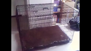 Preview 1 of Otro - presentation cage.AVI