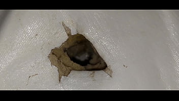 Preview 4 of Abbie Cat Bikini Smothering - I fuck with the mattress and lick my sperm from the hole in the mattress