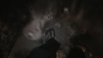 Preview 2 of Sleeping Storys Movies - vixen vanity out walking the dog