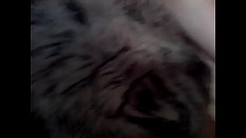 Preview 1 of Jcrew6 - VID-20130119-00009.MP4