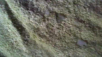 Preview 4 of Pakistan Sex Glirs 18 Year - Ashrifkin sticky cumshot on slut