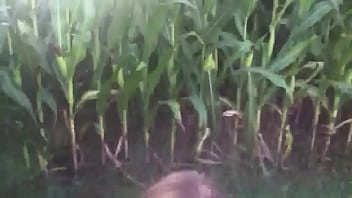 Preview 1 of Mall School Girl - Deep throating in the corn field