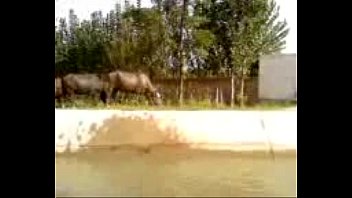 Preview 2 of Alexis Fan - dup(01)video-0005000