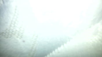 Preview 4 of Mydirtyhobby Selfsuck - 20130427 043726