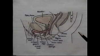Preview 1 of Asian Sex Anime - Sex Education Orgasm Training Video