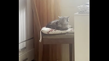 Preview 3 of Shemales Guy Mouth - My kitty