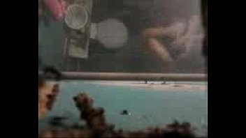 Preview 2 of Mom Vs Sister And Brotherpage4 - Video0004
