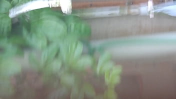 Preview 2 of Xxx Video Arap 18 - DSCN5993.MOV