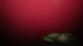 Preview 1 of Teen Sex Lactating Webcam - MAH00001.MP4
