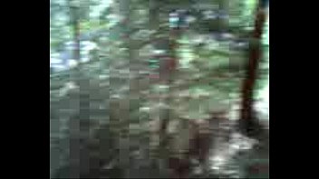 Preview 1 of Japanese Step Mom Family - Sega nel bosco con sborrata Amatoriale