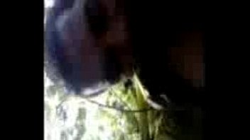 Preview 2 of Much Off - aunty1