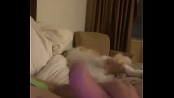 Preview 1 of Grils Dog Sexs Videos - Verification video