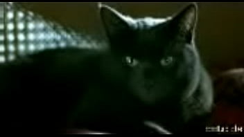 Preview 4 of X X Xbedio - -0.3GP