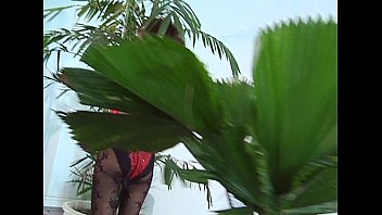 Preview 1 of Sex With Ex Gf - Wildlife - Pinay Pinups Vol2 - scene 1 - video 1