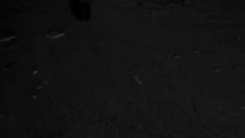 Preview 1 of Vados Xxxvom - The Black Porn / Graffitti Gay Masturbate Cock Insemination Sperm