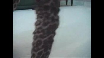 Preview 3 of Sexy Mom Hot - Loira maravilhosa dando o seu show