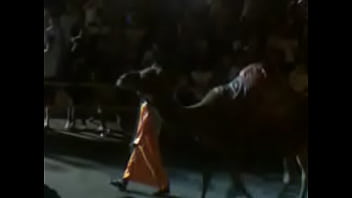 Preview 2 of Chod Na Mujha - Video0010