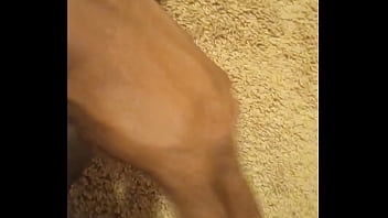Preview 4 of Indian Amritsar Sardar Man Sex - Quickie stroke quickie p4