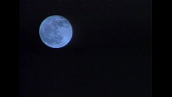 Preview 4 of Hod N Saxi Gairl - LBO - Full Moon Fever - scene 5 - extract 2